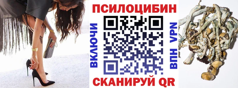 Купить где  Тимашёвск  Псилоцибиновые грибы мухоморы 
